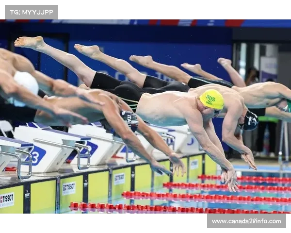 成都世运会自由潜水观赛礼仪全场静默10分钟以保护选手专注表现